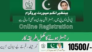 pakall88 | BISP 8171 online registration 2024